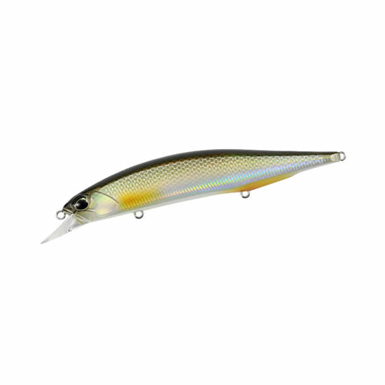 Duo Realis Jerkbait 120SP Pike Limited - ANA3261 Silver Roach