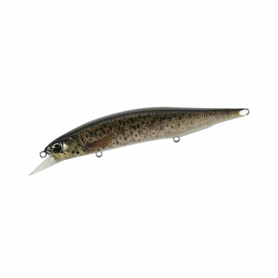 Duo Realis Jerkbait 120SP Pike Limited - CCC3815 Brown Trout ND
