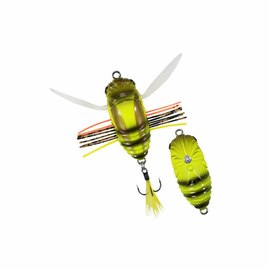 Duo Realis Koshinmushi - ACC3266 Honey Bug